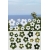 ROZ15 50x47 naklejka na okno wzory roślinne i zwierzęce - kwiaty